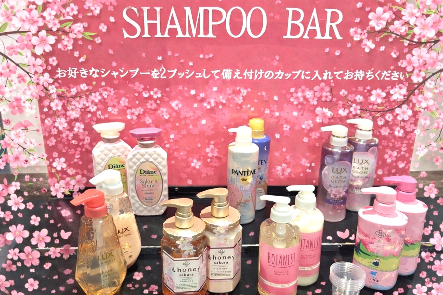 🌸✨3月イベントのおしらせ✨🌸